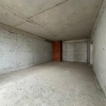 Продажа 3 комнатная Новостройка, м. Автовокзал метро, Бинагадинский р-н район 5