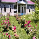 Kirayə (günlük) 2 otaqlı Həyət evi/villa İsmayıllı 1