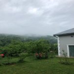 Kirayə (günlük) 4 otaqlı Həyət evi/villa Qəbələ 14