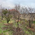 Satılır 4 otaqlı Bağ evi, Novxanı, Abşeron rayonu 12