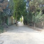 Satılır Torpaq Sumqayıt 5