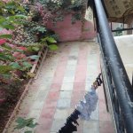 Satılır 5 otaqlı Həyət evi/villa, Azadlıq metrosu, Binəqədi qəs., Binəqədi rayonu 11
