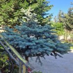 Kirayə (aylıq) 14 otaqlı Ofis, Gənclik metrosu, Nərimanov rayonu 6