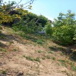 Satılır 3 otaqlı Həyət evi/villa Sumqayıt 5