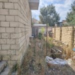Satılır Torpaq, Saray, Abşeron rayonu 5