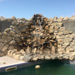 Kirayə (aylıq) 11 otaqlı Həyət evi/villa, Mərdəkan, Xəzər rayonu 1