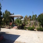 Kirayə (aylıq) 4 otaqlı Bağ evi, Mərdəkan, Xəzər rayonu 9