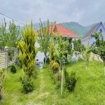 Посуточно 4 комнат Дача Исмаиллы 14