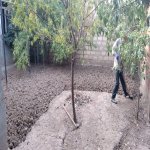 Satılır 3 otaqlı Həyət evi/villa Gəncə 12