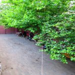 Satılır 7 otaqlı Həyət evi/villa, Həzi Aslanov metrosu, Əhmədli, Xətai rayonu 5