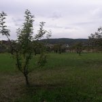 Satılır Torpaq Quba 1
