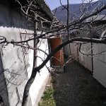 Satılır 4 otaqlı Həyət evi/villa Qax 4