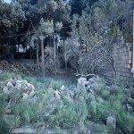 Satılır Torpaq, Bakıxanov qəs., Sabunçu rayonu 4