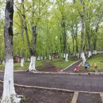 Kirayə (günlük) İstirahət Mərkəzləri Quba 3
