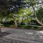 Kirayə (günlük) 1 otaqlı Köhnə Tikili, Sahil metrosu, Səbail rayonu 2