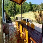 Kirayə (günlük) 5 otaqlı Həyət evi/villa Qəbələ 5
