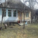 Kirayə (günlük) 2 otaqlı Həyət evi/villa Qəbələ 1