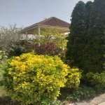 Kirayə (aylıq) 4 otaqlı Bağ evi, Goradil, Abşeron rayonu 8