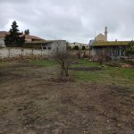 Satılır Torpaq, Buzovna, Xəzər rayonu 9