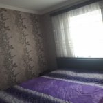Satılır 2 otaqlı Həyət evi/villa, Azadlıq metrosu, Binəqədi qəs., Binəqədi rayonu 4
