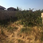 Satılır 6 otaqlı Bağ evi, Novxanı, Abşeron rayonu 13