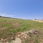 Satılır Torpaq, Saray, Abşeron rayonu 8