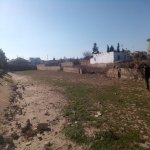 Satılır Torpaq, Novxanı, Abşeron rayonu 3