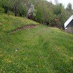 Satılır Torpaq Qəbələ 3