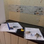 Satılır 3 otaqlı Həyət evi/villa, Əhmədli metrosu, kənd Əhmədli, Xətai rayonu 15