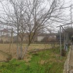 Satılır Torpaq, Mərdəkan, Xəzər rayonu 3