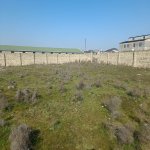 Satılır Torpaq, Buzovna, Xəzər rayonu 5