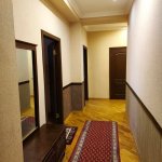 Kirayə (aylıq) 2 otaqlı Yeni Tikili, Nəriman Nərimanov metrosu, Nərimanov rayonu 9