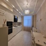 Kirayə (aylıq) 3 otaqlı Yeni Tikili, Xətai rayonu 15