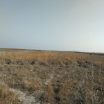 Satılır Torpaq Göyçay 5