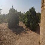 Satılır Torpaq, Novxanı, Abşeron rayonu 9
