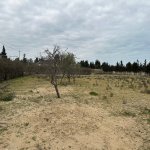 Satılır Torpaq, Şüvəlan, Xəzər rayonu 11