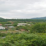 Satılır Torpaq Qəbələ 2