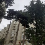 Satılır 1 otaqlı Yeni Tikili Xırdalan 7