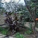 Satılır 4 otaqlı Həyət evi/villa Sumqayıt 9