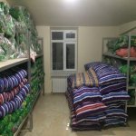 Kirayə (aylıq) Mini otel / Xostel, Əhmədli metrosu, Əhmədli, Xətai rayonu 5