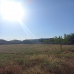 Satılır Torpaq, Binə qəs., Xəzər rayonu 5