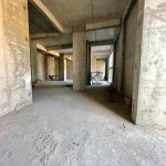 Kirayə (aylıq) Obyekt, Gənclik metrosu, Nəsimi rayonu 5