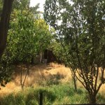 Satılır Torpaq, Masazır, Abşeron rayonu 3