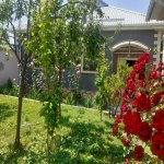 Kirayə (günlük) 2 otaqlı Həyət evi/villa Qəbələ 6