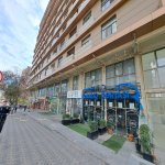 Kirayə (aylıq) Obyekt, 28 May metrosu, Qış parkı, Nəsimi rayonu 11