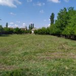 Satılır 2 otaqlı Həyət evi/villa Sabirabad 3
