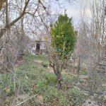 Satılır Torpaq, Novxanı, Abşeron rayonu 5
