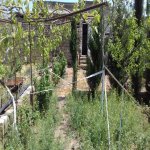 Satılır 6 otaqlı Həyət evi/villa, Bilgəh qəs., Sabunçu rayonu 5