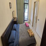 Kirayə (günlük) 10 otaqlı Bağ evi Qəbələ 4