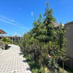 Kirayə (aylıq) 5 otaqlı Bağ evi, Şüvəlan, Xəzər rayonu 27